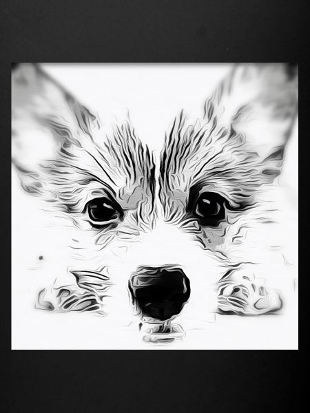 Cute dog