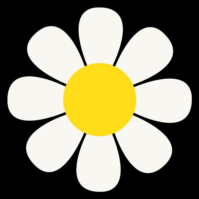 Gänseblümchen Blume Daisy Flower