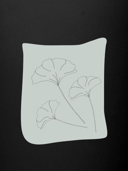 GINKO LINEART