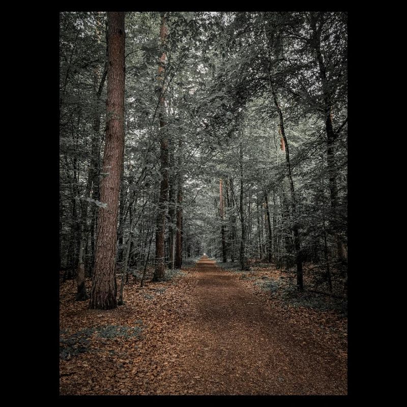 Natureprint