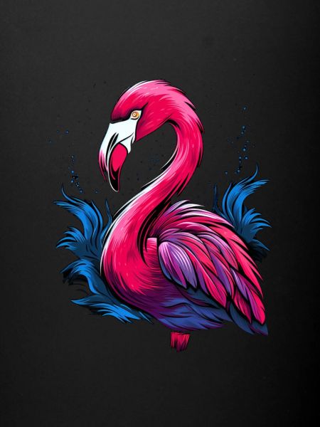 pink flamingo / flamant rose