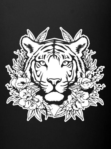 Tiger Big Cat