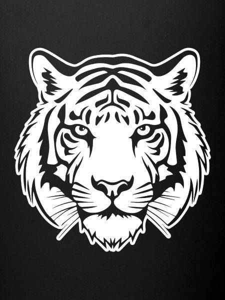 Tiger Big Cat