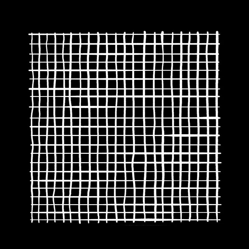 Lignes blanches - damier