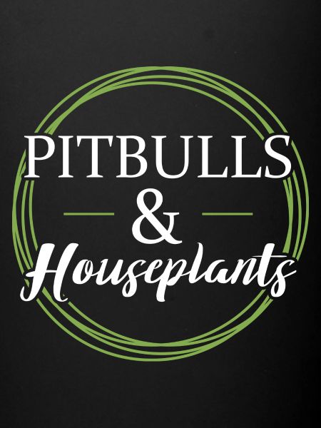 Pitbulls et plantes d’intérieur
