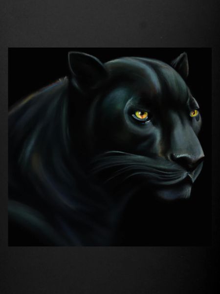 Panthère noire