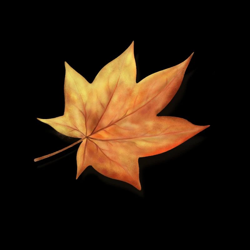 Feuille d’automne