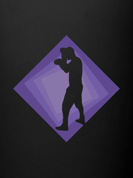 Boxer Boxer Match Boxe