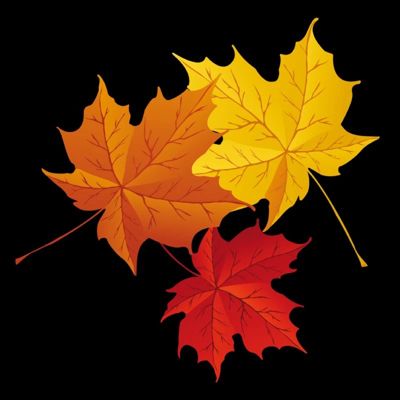 Herbst bunte Blätter