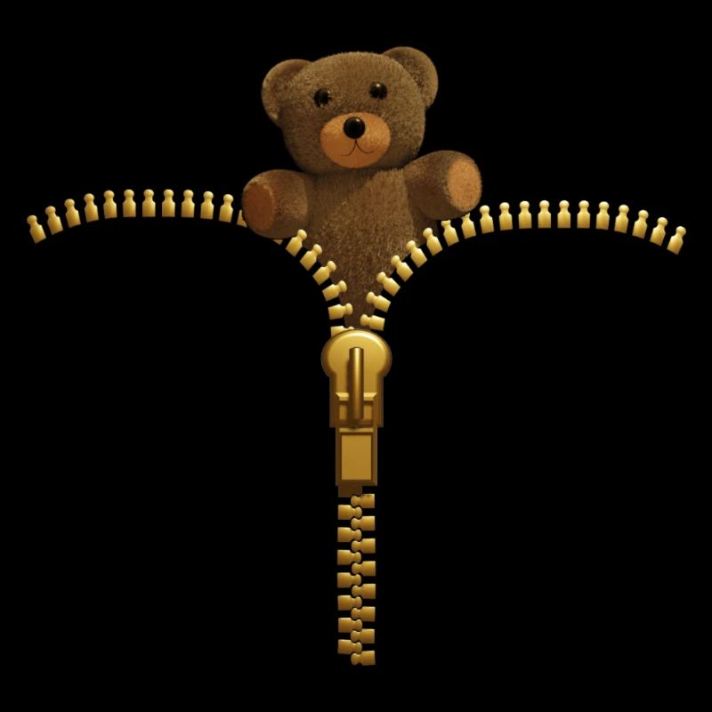 Fermeture éclair avec ours en peluche - Or