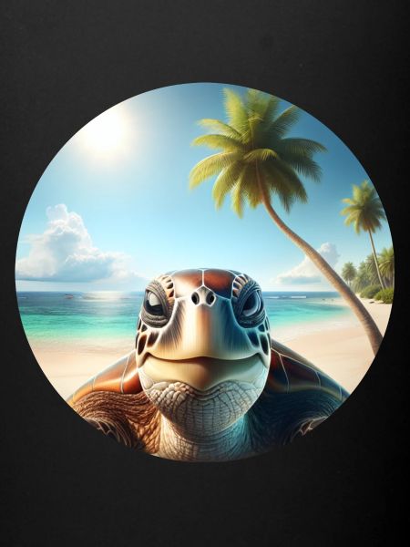 Tortue souriante