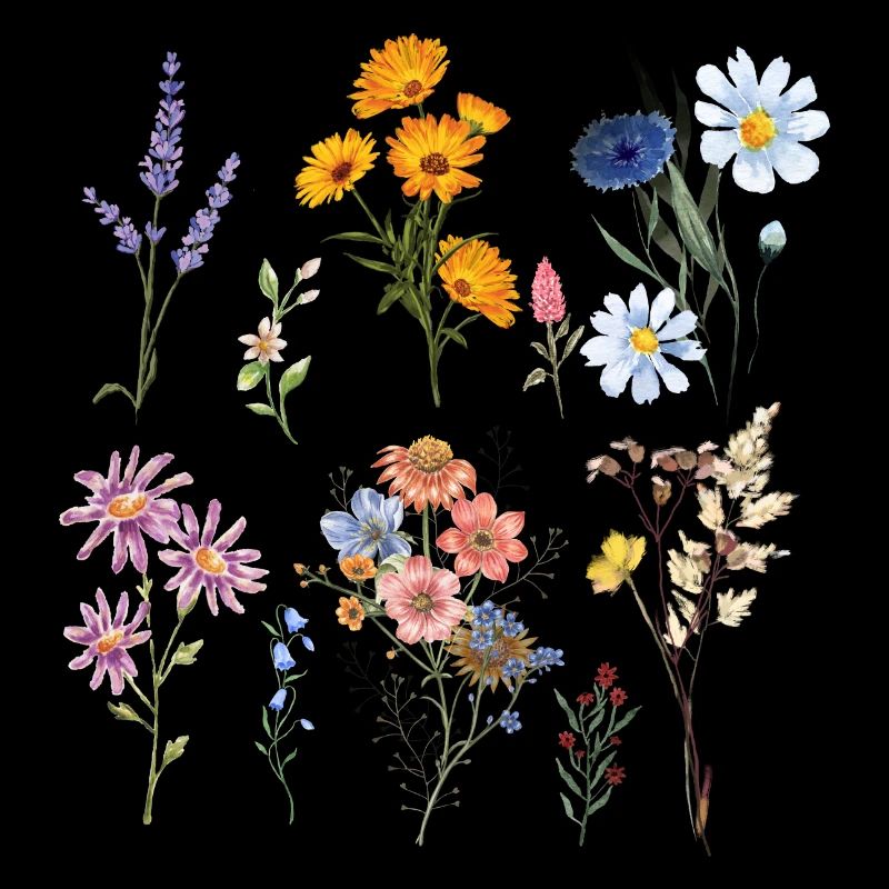 Botanical Wildflowers