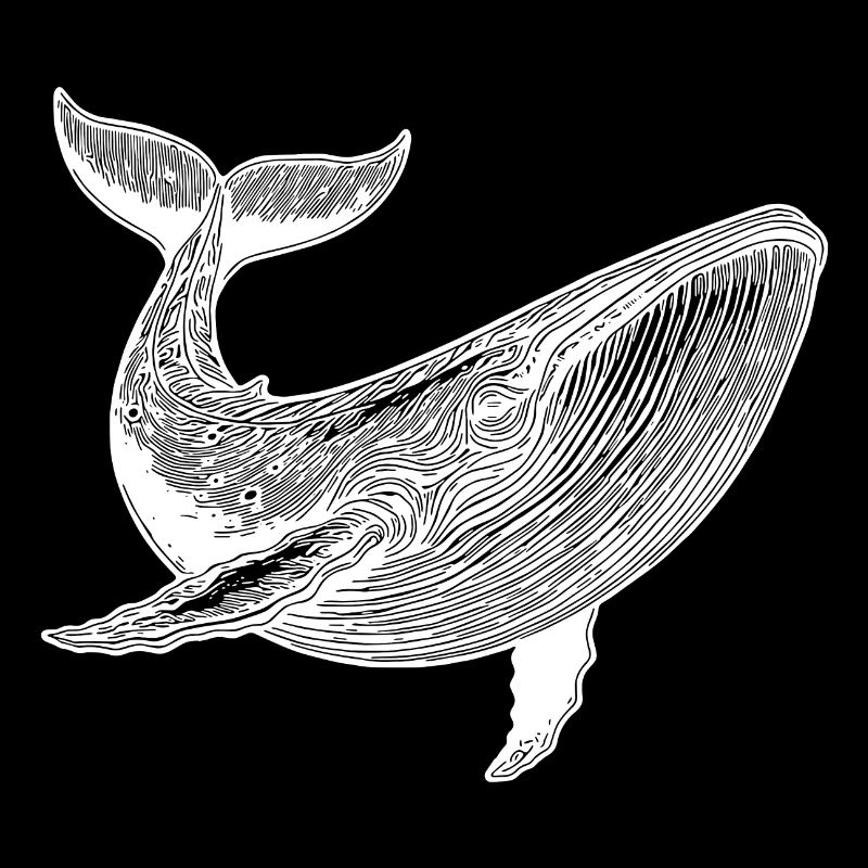 Large Vintage Whale Massive Sea Creature