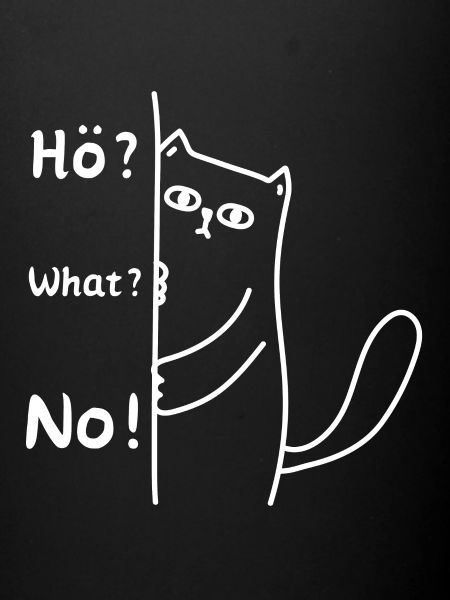 Hö What No