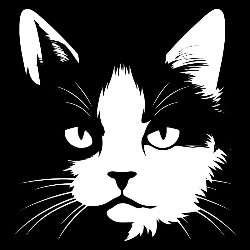 Chat, Motif De Chat