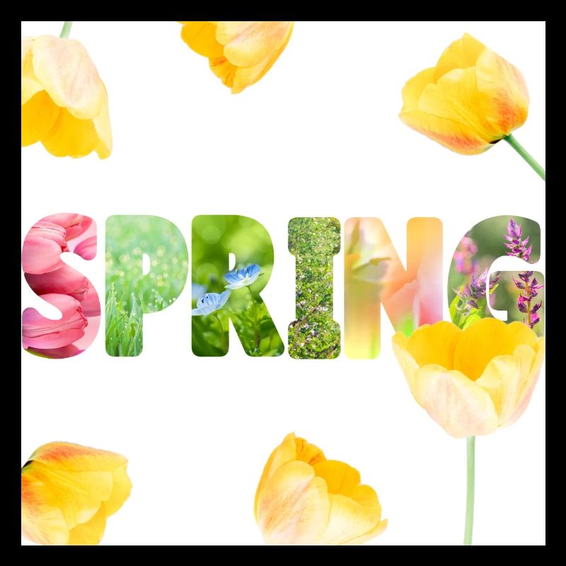 Spring Weißer Hintergrund