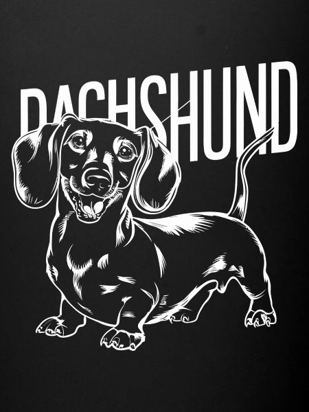 Teckel Teckel chien chien