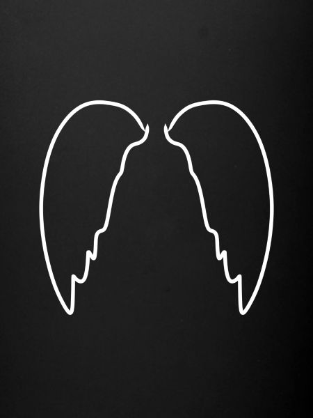 Wings flying icon