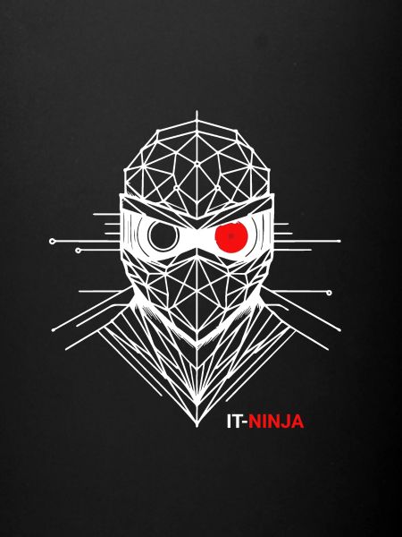 IT-Ninja par afe-IT