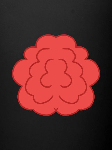 Fleur Rose Rouge Symbole