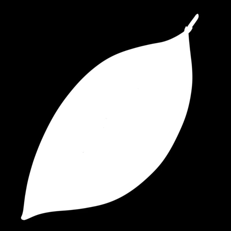 Leaf Symbol Shape Nature