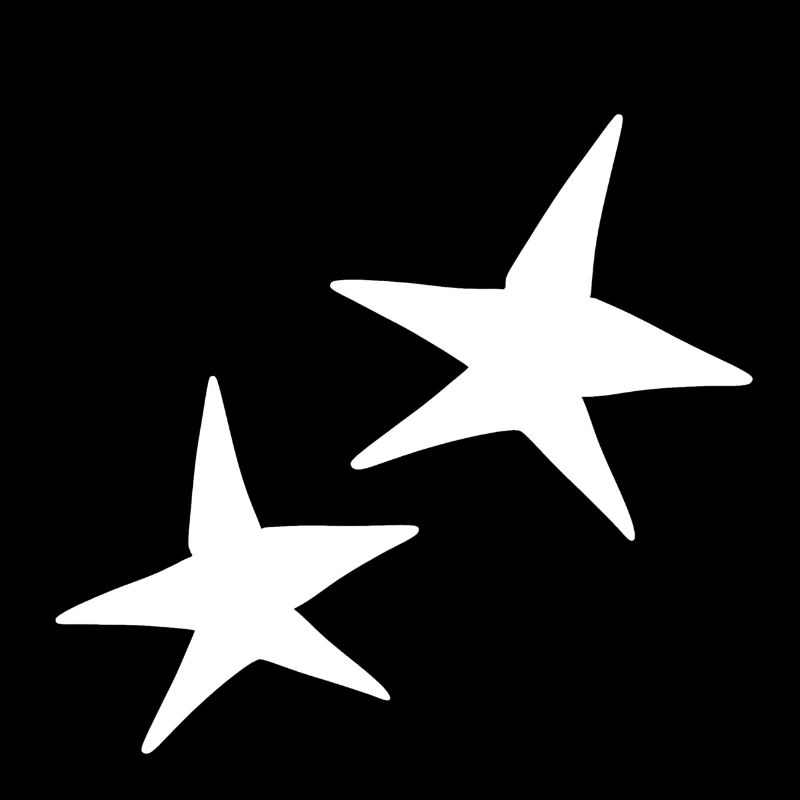 Star Shape Two Stars Icon