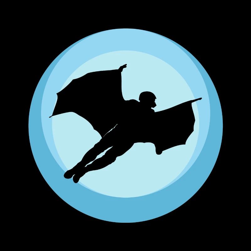 Wingsuit Flying Base Jumping Suit