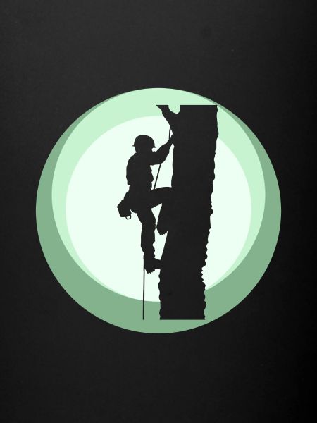 Tree Climbing Climbing