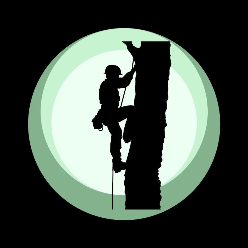 Baumklettern Klettern