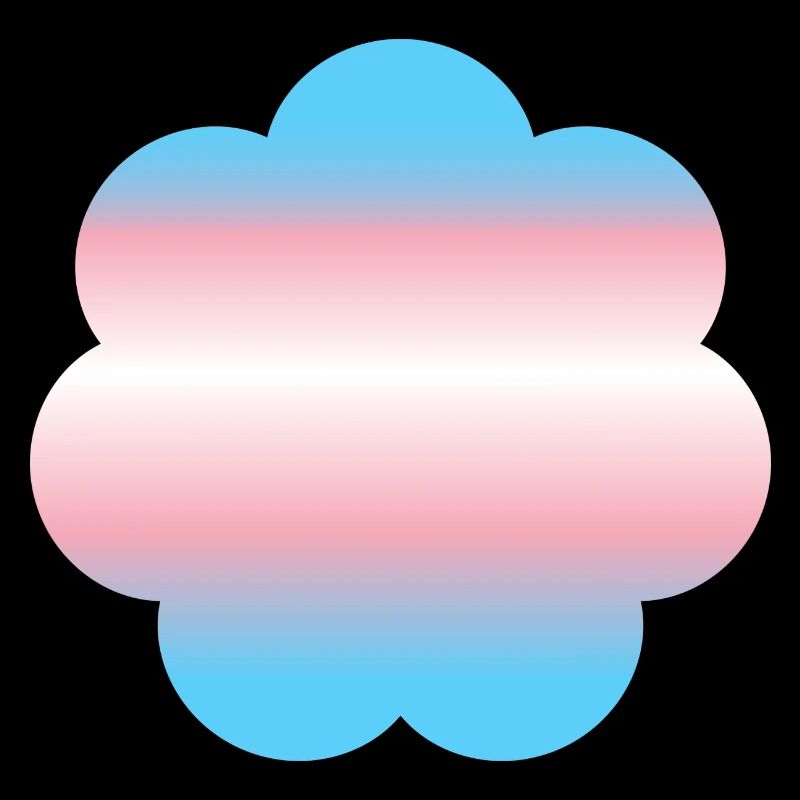 Subtle Transgender Pride