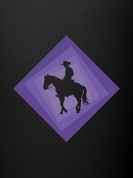 Cavalier de cow-boy