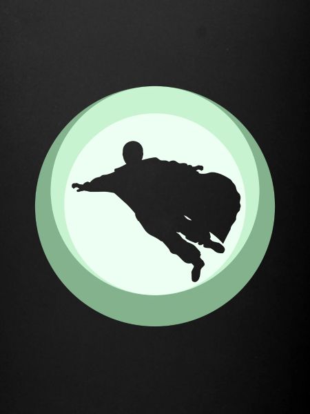 Wingsuit Flying