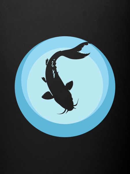 Koi Fisch Fischkopf Fischer