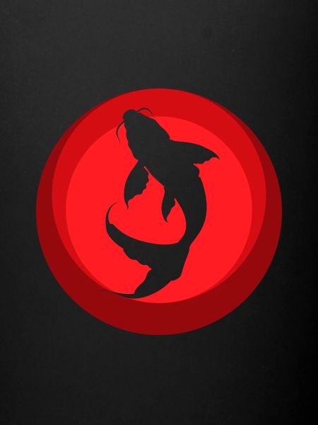 Poisson Koi