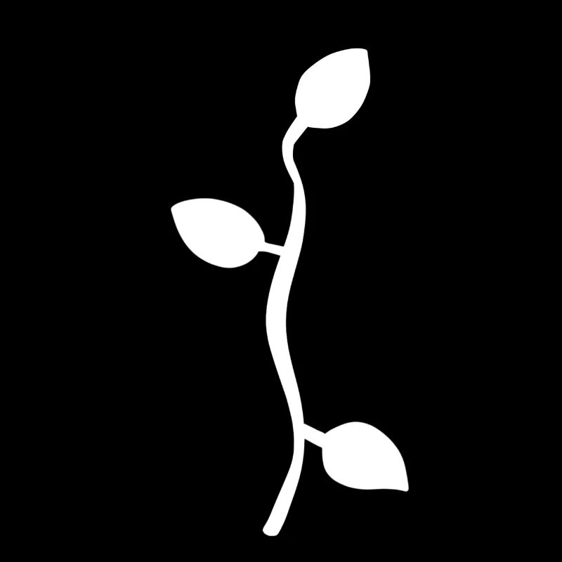 Leaf Leaves Line Nature Branch