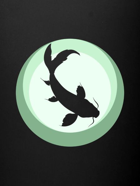 Koi Fisch