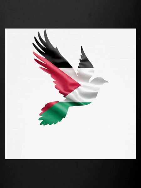 Colombe de Palestine