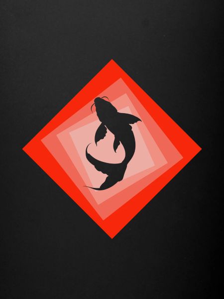 Koi Fisch Teich