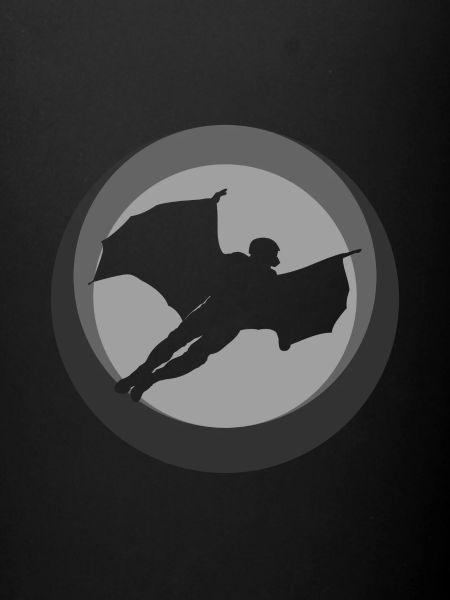 Wingsuit Flying Suit Planeur