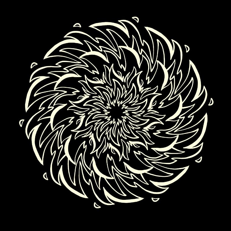 A sun flower