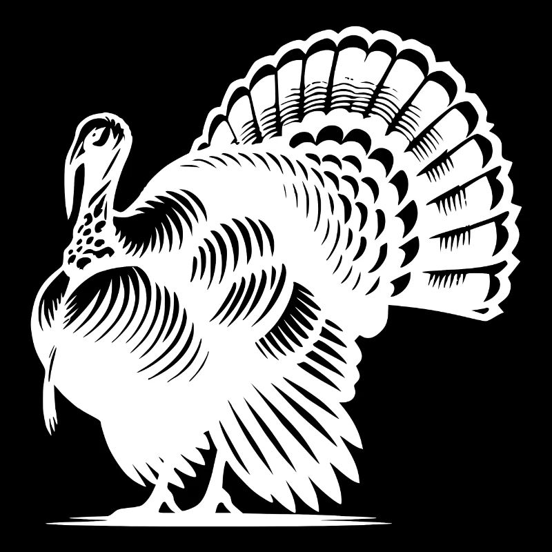 Large turkey with huge plumage