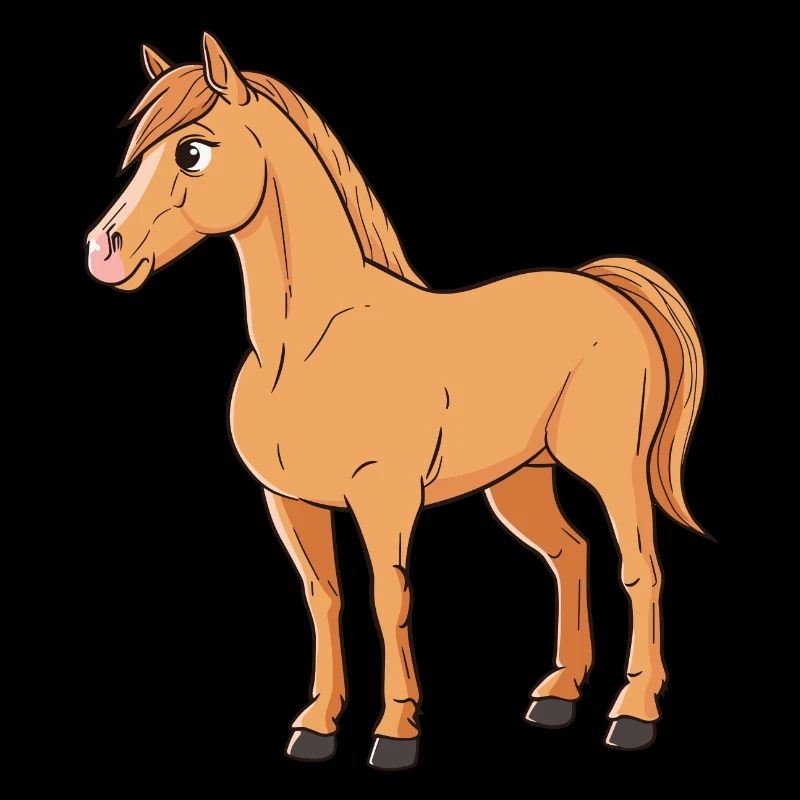 Chevaux Cavalier Tête de cheval