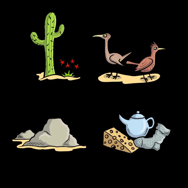 Plants birds rocks things