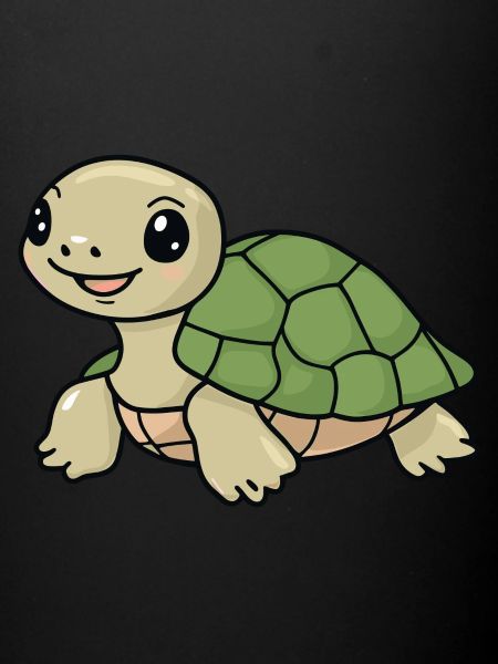 Turtle Turtles Turtle