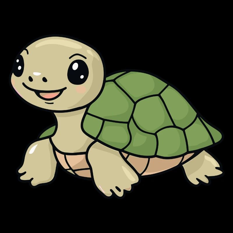 Turtle Turtles Turtle