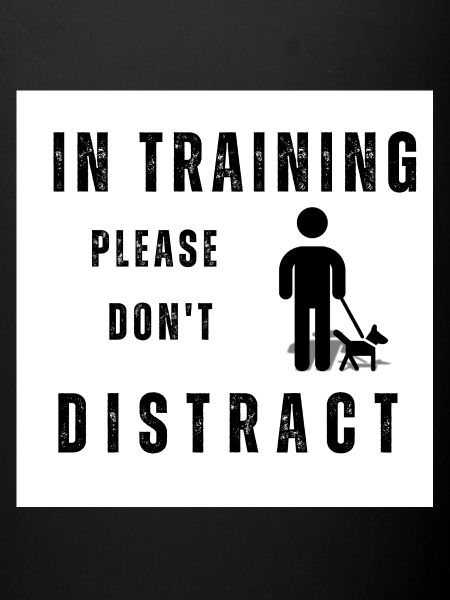 Dog training