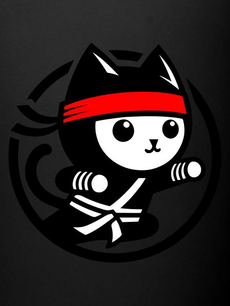 Chat ninja