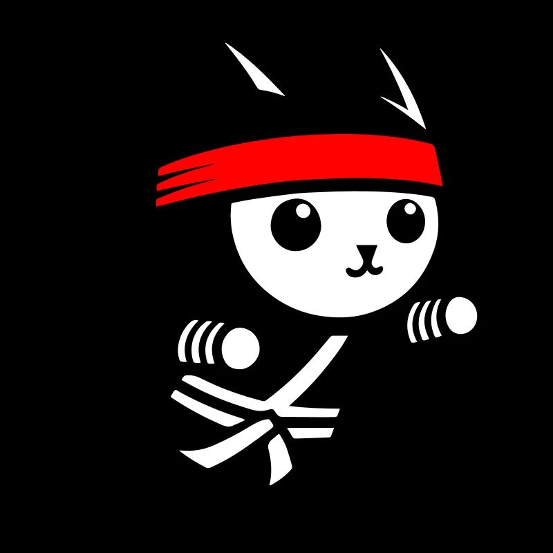 Chat ninja
