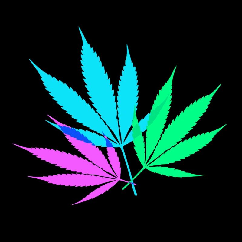 Feuilles de chanvre colorées