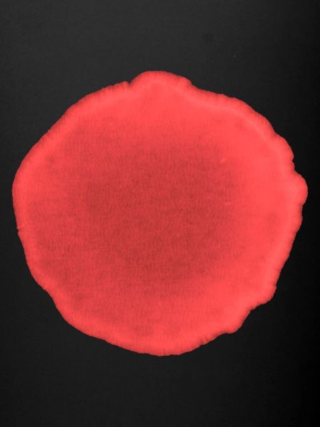 Dot Red